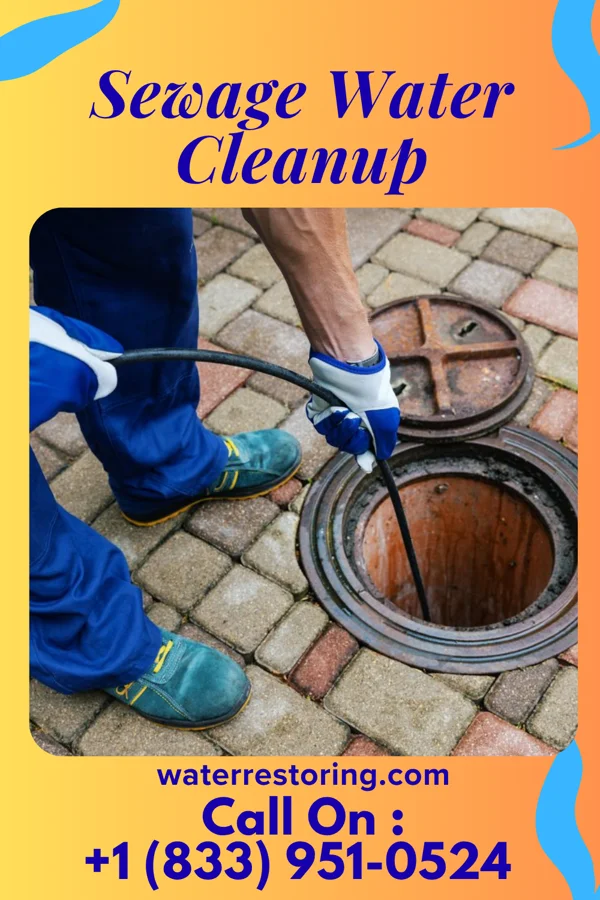 Sewage Water Cleanup in Arrowhead Beach, NC